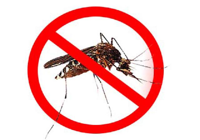 3 Warga Diserang Demam Berdarah Dengue