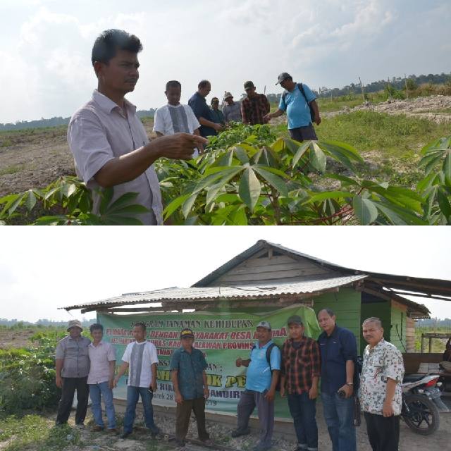 Bangun Kemitraan, PT Arara Abadi Laksanakan Program Tanaman Kehidupan di Pelalawan