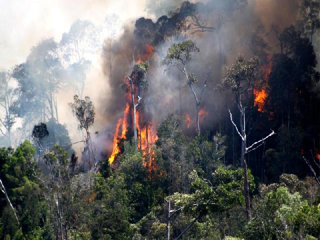 Komisi III Terima Keterangan Berbeda