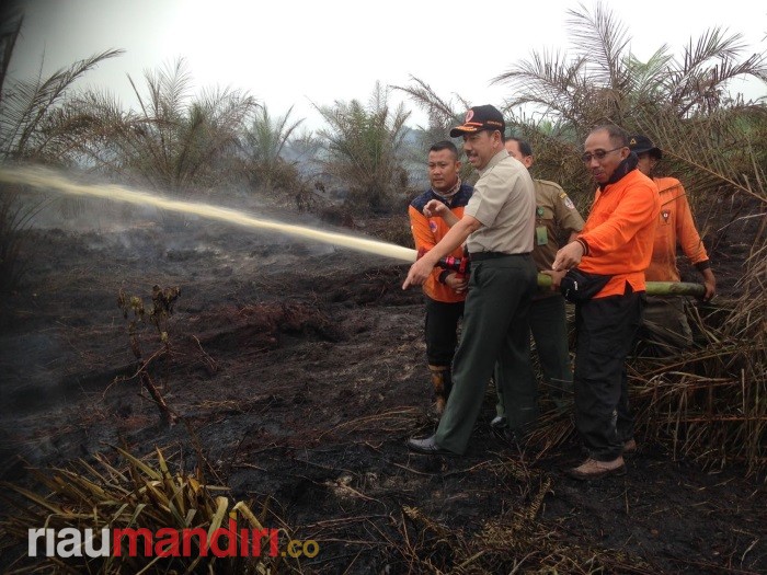 Hampir Tiga Bulan, Karhutla di Penyaguan Inhu Belum Padam Total