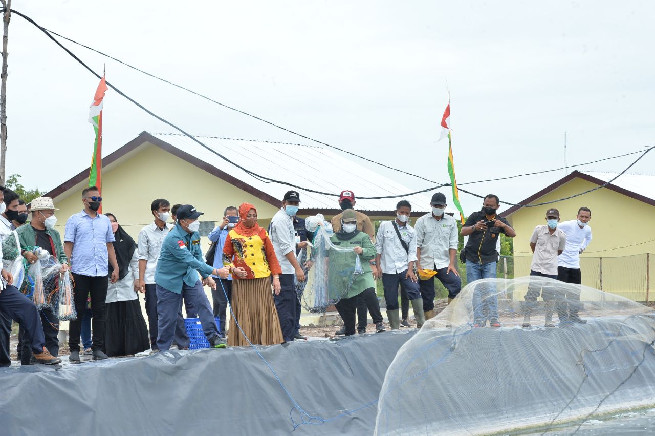 Nilai Tukar Petani Terus Meningkat, Ini Program Ekonomi Rakyat Pemprov Riau