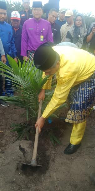 122,8 Hektar Kebun Sawit di Desa Empang Pandan Siak Masuk Program Peremajaan