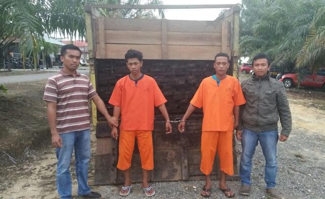 Polres Rohil Amankan 4,5 Ton Kayu illegal Logging