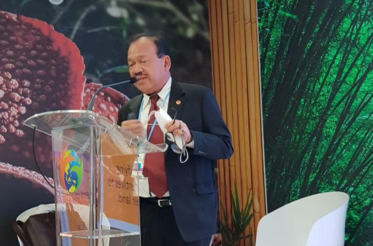 Raffles B. Panjaitan: Pelibatan Para Pihak Mampu Turunkan Karhutla di Indonesia