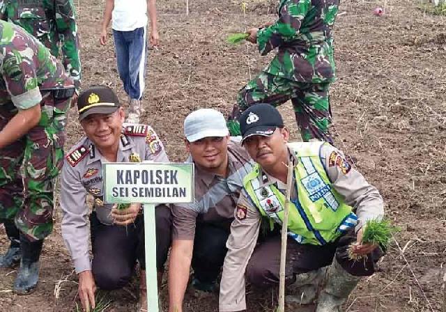 Kodim Tanam Padi Perdana di Demplot Kartika