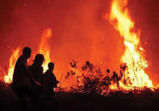 Camat Imbau Warga Jangan Bakar Lahan Sembarangan