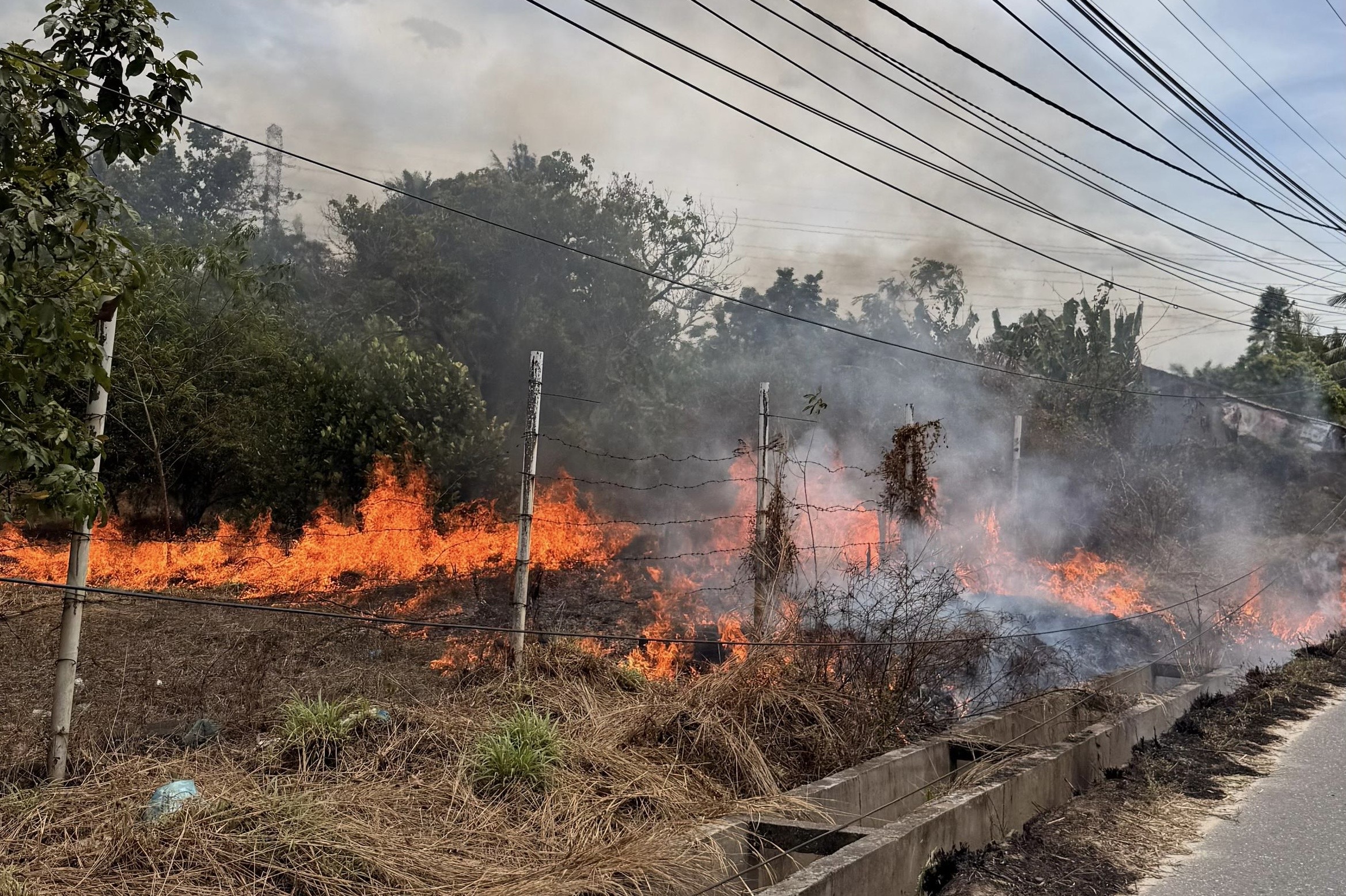 Empat Lahan Terbakar di Pekanbaru, BPBD Imbau Warga tak Bakar Sembarangan