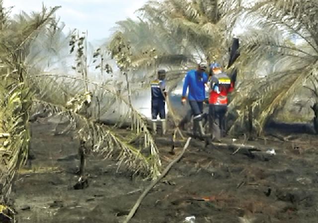 Titik Panas di Riau Melonjak Drastis