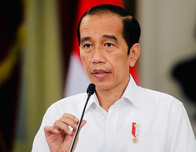 Cucu Bung Hatta Gugat Jokowi dan Tito Terkait 88 Pj Kepala Daerah 