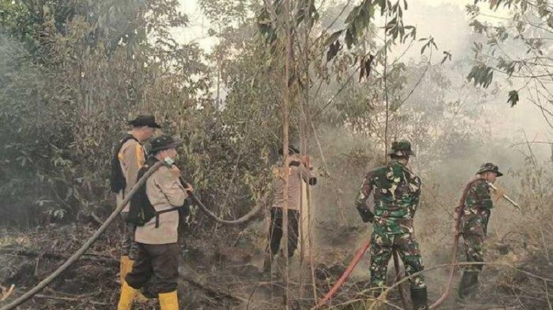 Polda Riau Buru Pelaku Karhutla di Perbatasan Dumai-Bengkalis