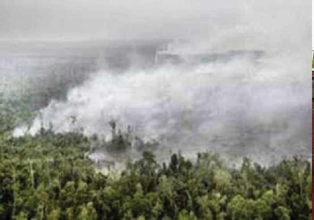 Dua Perusahaan Diduga Terlibat Karlahut