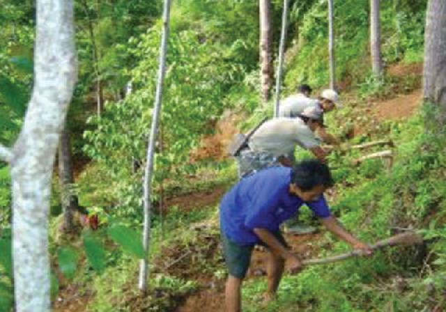 Dishut : Program HTR tidak Melibatkan Pemerintah