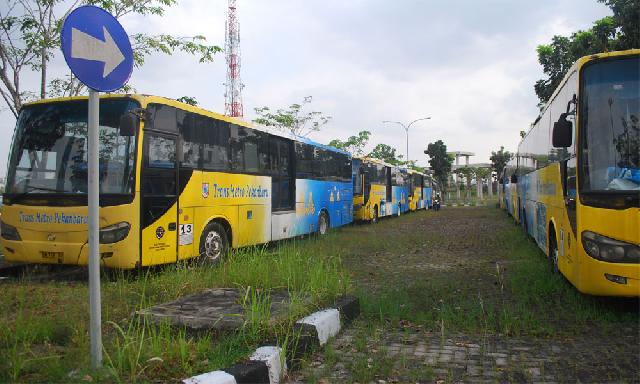 20 Bus TMP akan Dioperasikan