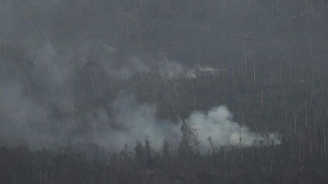 Hutan dan Lahan di Jambi Kembali Terbakar, Kabut Asap Menyerbu
