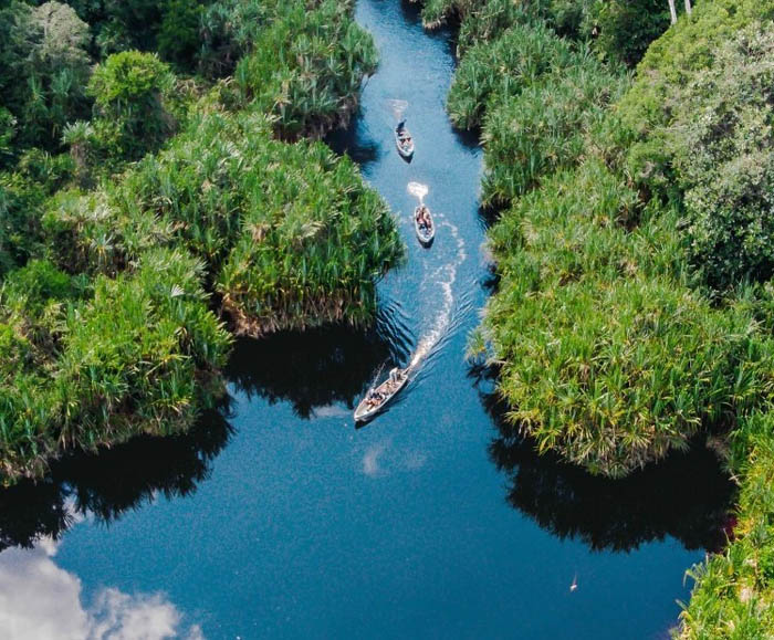 RER Terus Perbaiki Hutan Rawa Gambut Utuh Terbesar di Sumatera