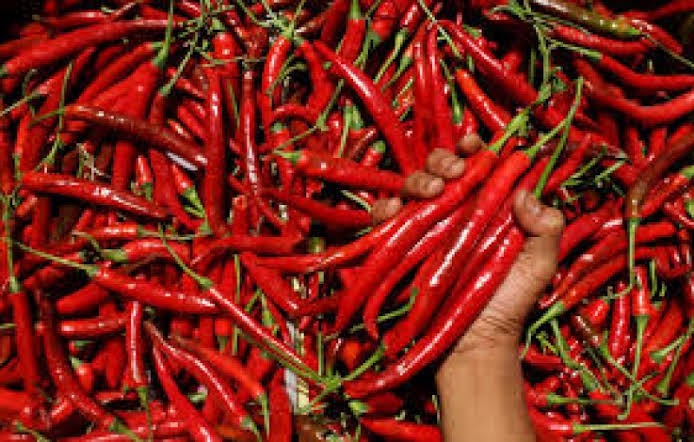 Harga Cabai di Riau Belum Normal, Ini Penyebabnya