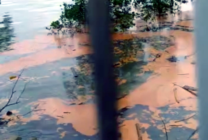 Minyak PT SDS Tumpah di Lubuk Gaung Dumai, Perusahaan Berjibaku Bersihkan Laut