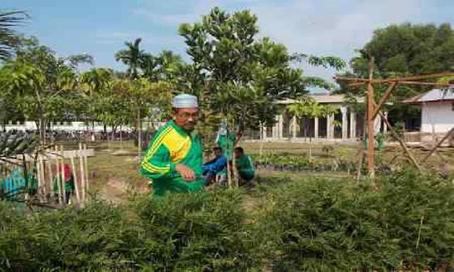 Ganti Pagar Beton denganm Bambu Jepang