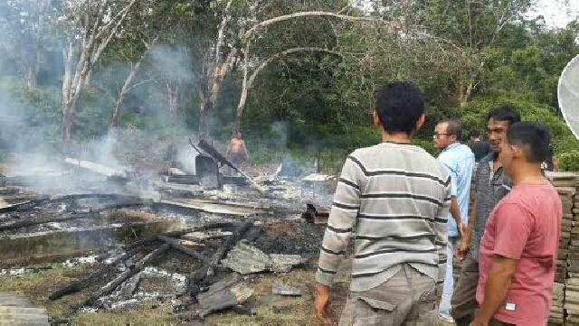 Si Jago Merah Hanguskan Satu Unit Rumah Warga Teratak Jering