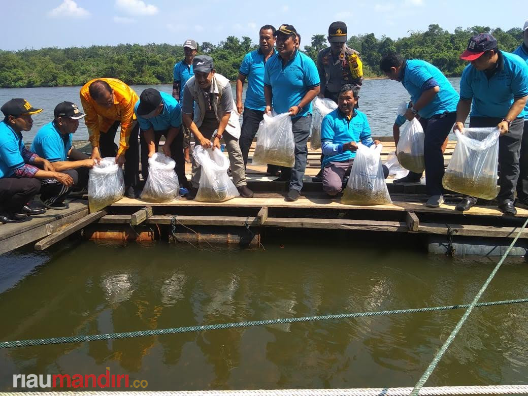 Tahun Ini Pemprov Riau Akan Petakan Potensi Budidaya Perikanan