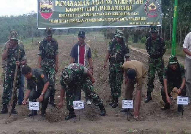 Tingkatkan Swasembada Pangan TNI Tanam Padi Serentak