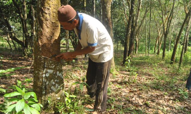 Biasanya Setiap Senin ke Pasar, Sekarang Cukup untuk Bayar Utang