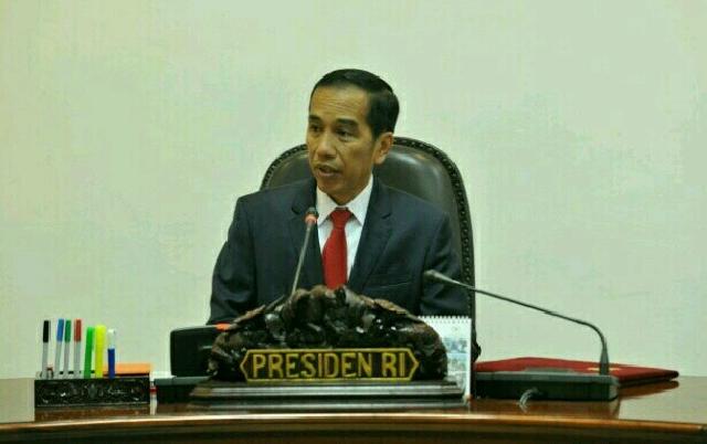 Jokowi Lakukan Ratas Cegah Karhutla Secara Dini