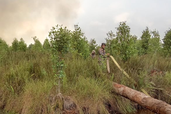 Personel Satpol PP Turut Berjibaku Padamkan Karhutla di Riau