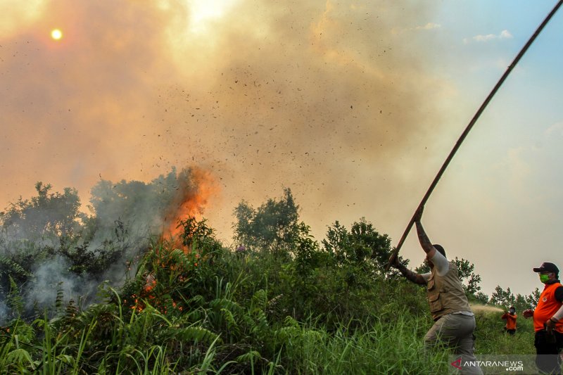 Setelah Padamkan Kebakaran Lahan, Anggota BPBD Inhil Terserang ISPA 