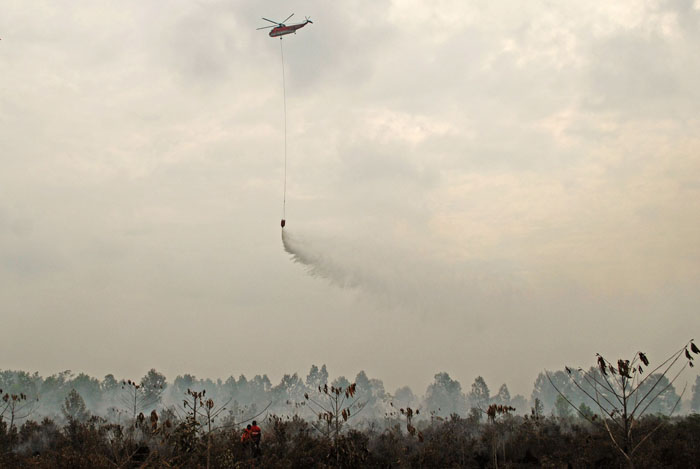 Kebakaran Lahan dan Hutan di Pesisir Riau Masih Membara