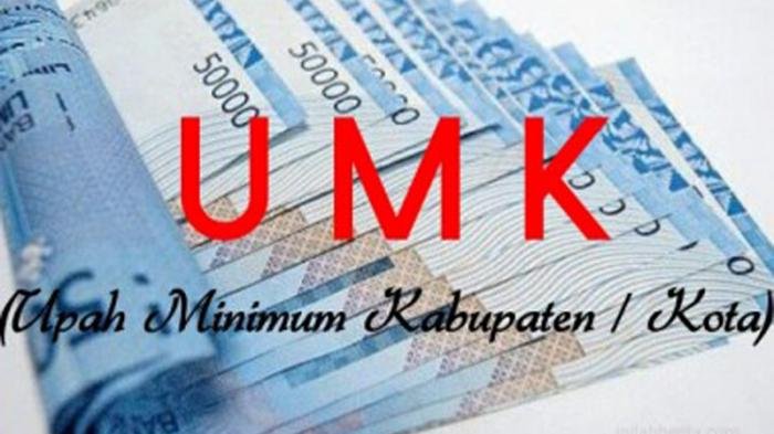 Disnaker Riau Surati Bupati dan Wali Kota Segera Tetapkan UMK 2022