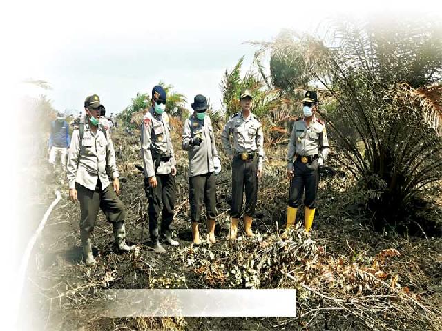 Karhutla Mengganas di Rohil