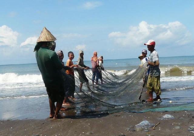 Laut Tercemar, Tangkapan Nelayan Bekurang