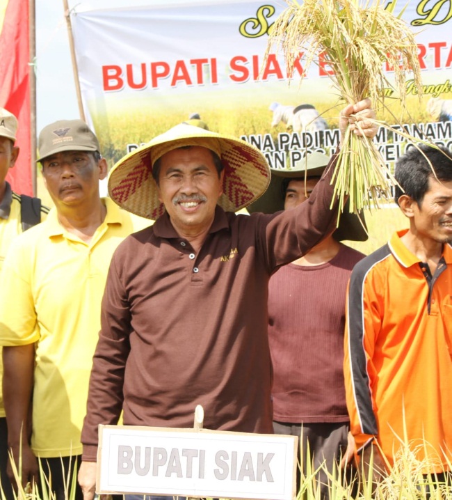 Syamsuar Bangga Pertanian Sungai Apit Berhasil
