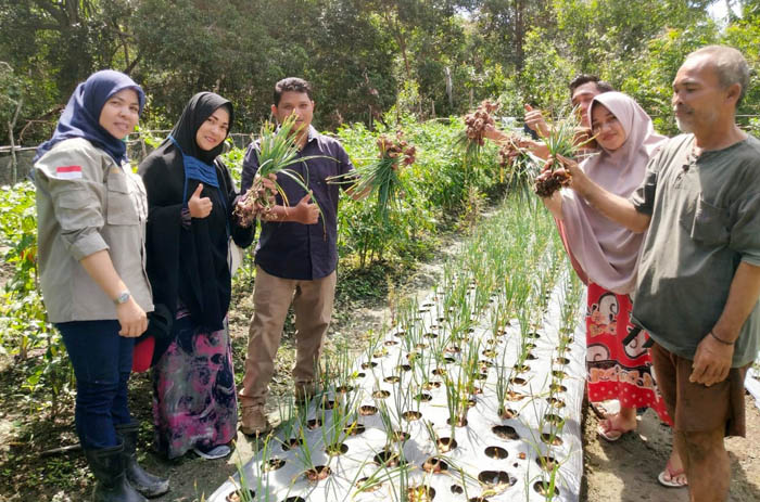Tingkatkan Ketahanan Pangan di Tengah Pandemi Corona, Fedrios Bina Petani Bawang di Singingi