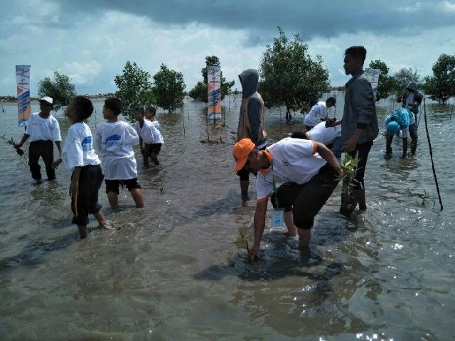 KKP Bersih-bersih Pantai dan Tanam Mangrove di Bengkalis