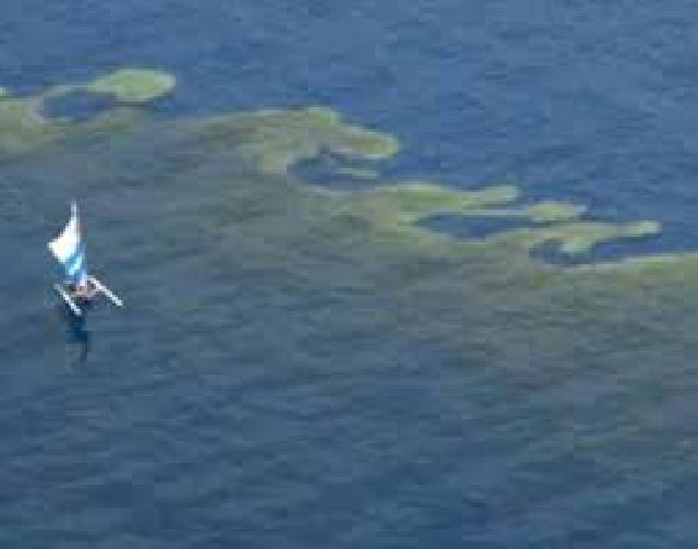 Pengamat: Pencemaran Minyak Bukti Kelemahan Diplomasi Maritim