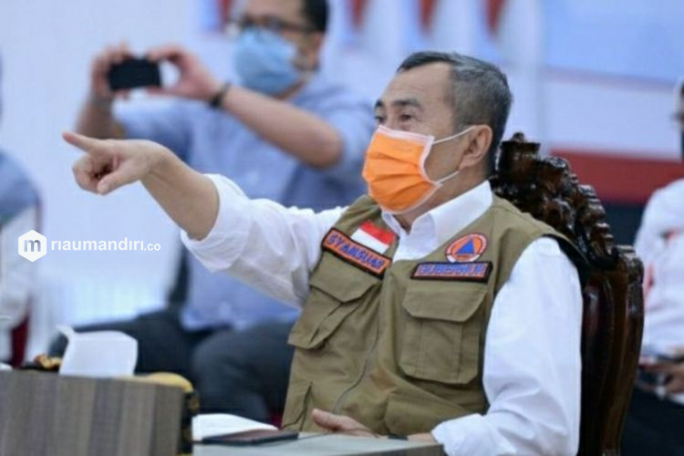 Terima Laporan Lahan Sengaja Dibakar, Gubernur Riau: Tangkap!