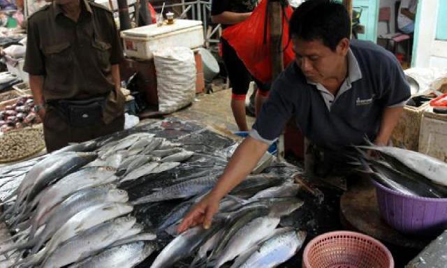 Pedangan Pasar Ikan Tagih Janji Bupati