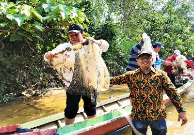 Dihadiri Bupati Rohul, Tradisi Rantau Larangan di Desa Rokan Koto Ruang Tetap Terjaga