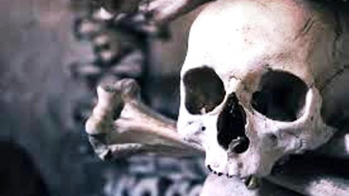 Warga Geger, Sebulan Menghilang, ABK di Bengkalis Ditemukan Tergantung Sudah Jadi Tengkorak