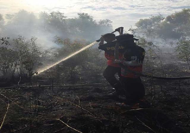 100 Hektare Lebih Lahan dan Hutan Terbakar