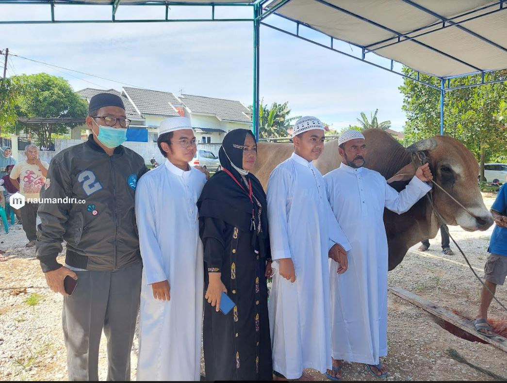 1,4 Ton, Hewan Kurban Terberat di Pekanbaru Tahun Ini