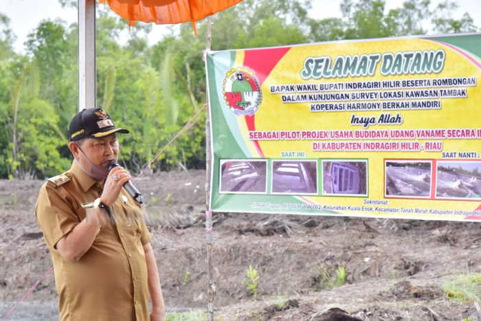 Survei Lokasi Tambak, Wabup Syamsuddin Uti Berharap Ada Udang Vaname Made in Inhil