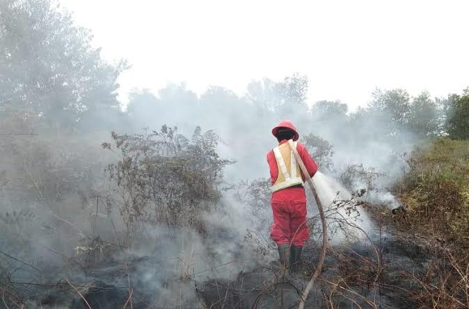 4 Hektar Lahan Terbakar di Bengkalis