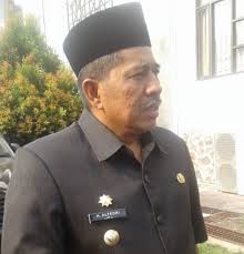 Tingkatkan Pelayanan Berbasis Online, Bupati Siak Ingin Adopsi Smart Kampung