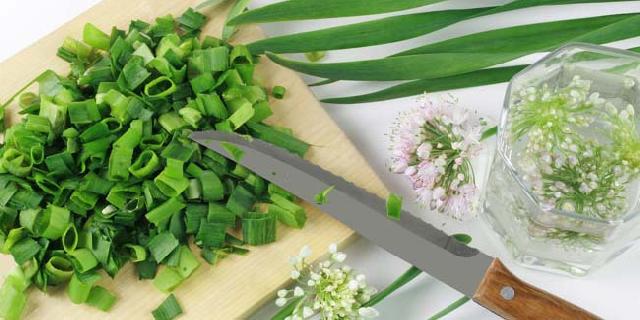 Daun Bawang Bisa Mencegah Sakit Jantung