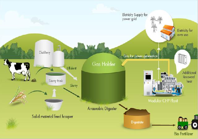 TMK Seberida Kembangkan Biogas