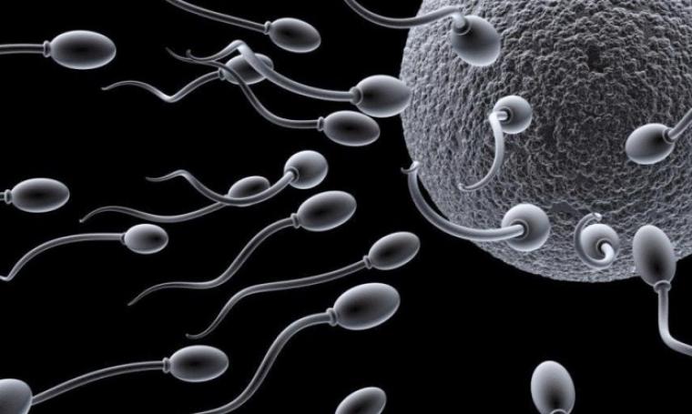 Ini 6 Cara Alami Tingkatkan Jumlah Sperma