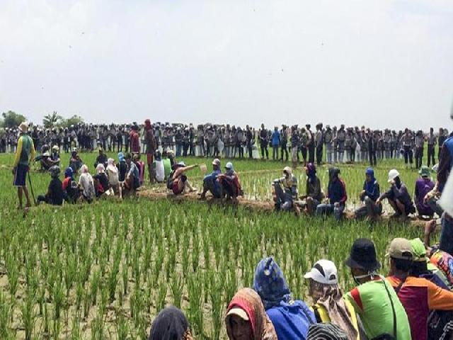 Tolak Bandara, Petani Ditembak Gas Air Mata